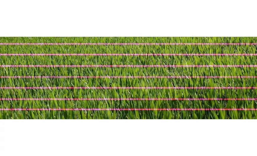 Miért nyomtat a tintasugaras nyomtató vízszintes vonalakat?